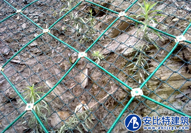 主動護網(wǎng)案例