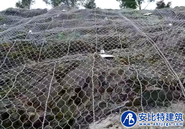 簾式護網(wǎng)案例
