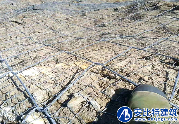 SPIDER主動防護網(wǎng)案例